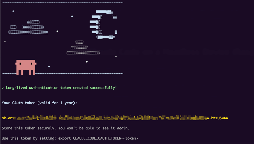 Claude Code setup token output